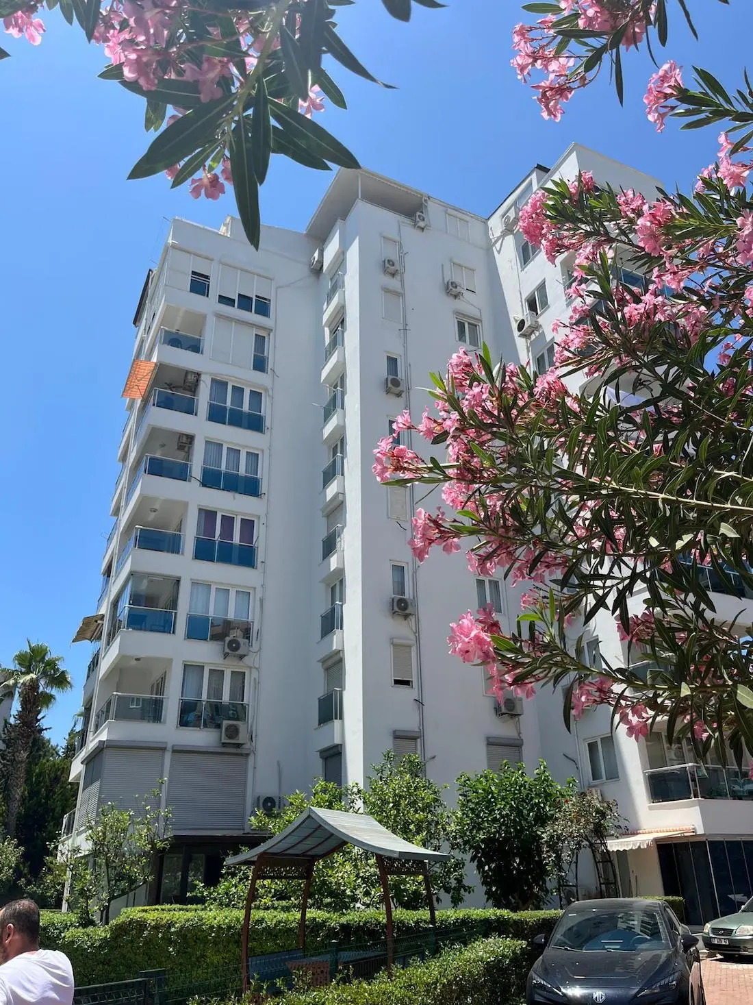 Project in Lara